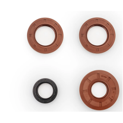 Polaris RZR RS1 Premium Transmission Bearing Upgrade Kit