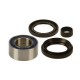 Honda TRX650 Rincon 2003-05 Front Wheel Bearing