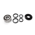 Differential Bearing & Seal Kits