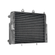 Polaris RZR 800 Heavy-Duty Radiator