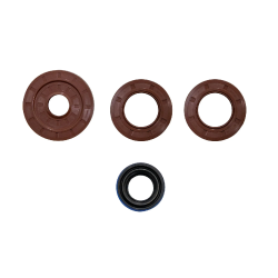 Polaris RZR Transmission Seal Kit