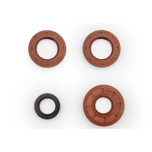 Polaris RZR Transmission Seal Kit