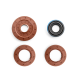 Polaris RZR Transmission Seal Kit